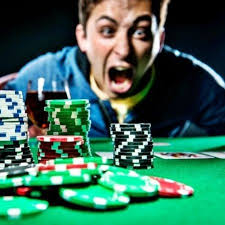 Casino Wilder